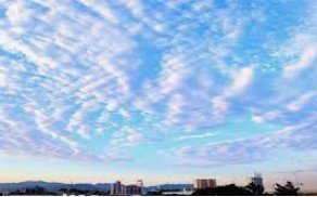 天気の良い秋の空ですね。の画像
