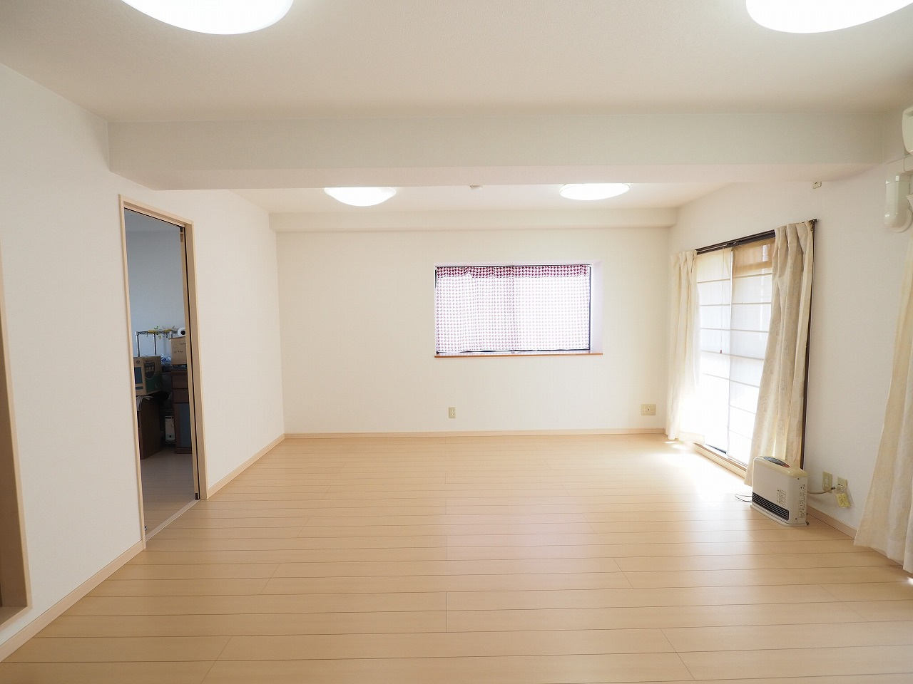 本日の新着情報！！の画像