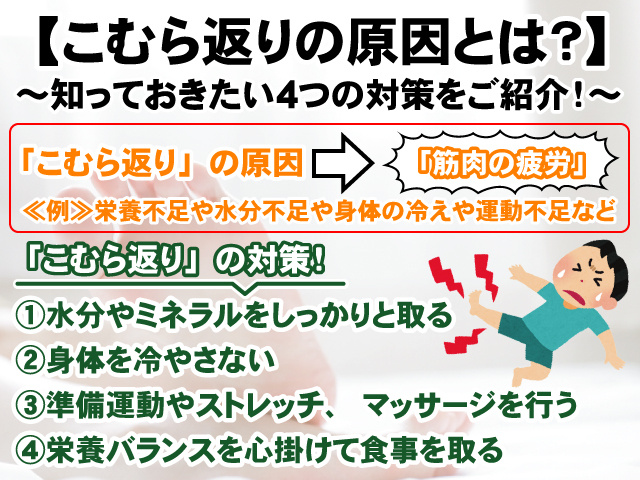 【こむら返りの原因とは？】知っておきたい4つの対策をご紹介！の画像