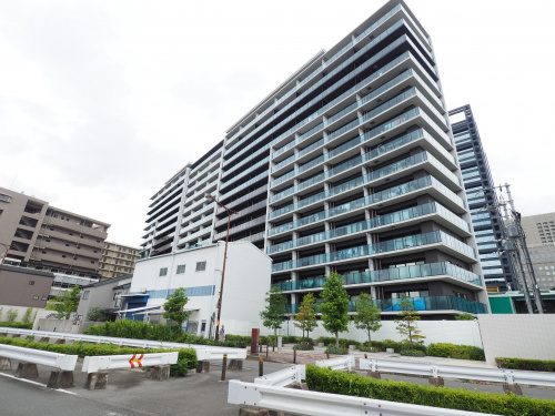 本日の新着情報！！の画像