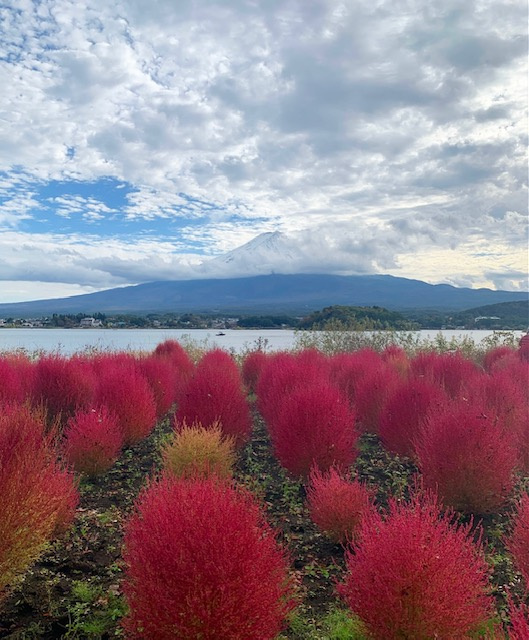☆秋の山梨へ☆の画像