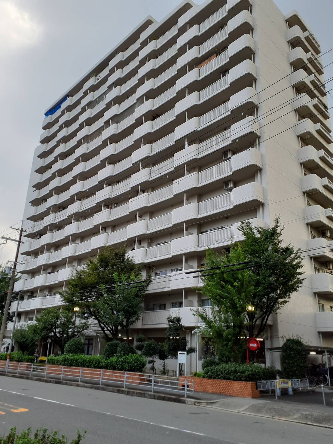 本日の新着情報！！の画像