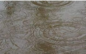 久しぶりに雨模様です・・の画像