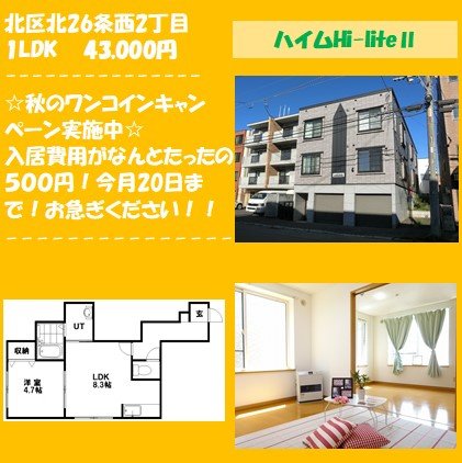 ワンコインCP今月20日まで！！！！の画像