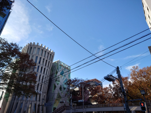 原宿秋模様の画像