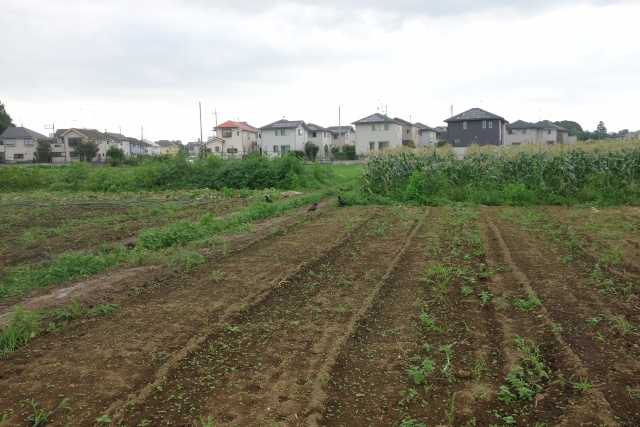 「2022年問題」の影響とは？さいたま市での農地売却の対処法...の画像