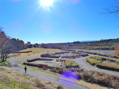 福生市の多摩川沿いはどんな所？の画像
