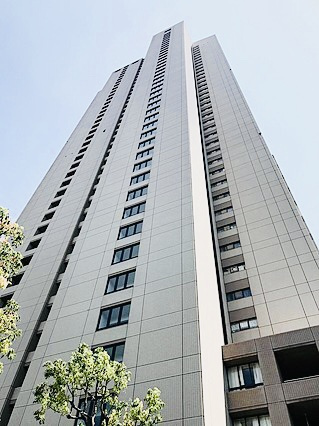 本日の新着情報！！の画像