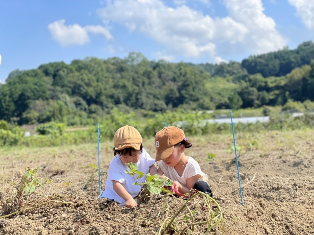 【東京都あきる野市にある「東京地球農園」の概要と楽しみ方をご...の画像