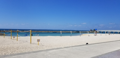 ビーチパーティー～純血統アグー～の画像