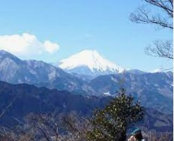 穏やかな冬の日差しと富士山の・・の画像