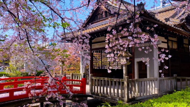 京都市南区にある六孫王神社とは？おすすめポイントをご紹介の画像