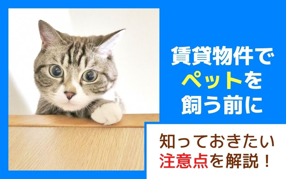 賃貸物件でペットを飼う前に知っておきたい注意点を解説！の画像