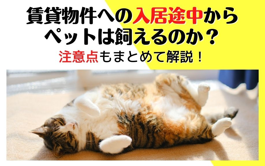 賃貸物件への入居途中からペットは飼えるのか？注意点もまとめて...の画像