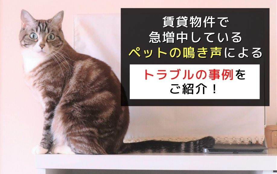 賃貸物件で急増中しているペットの鳴き声によるトラブルの事例を...の画像