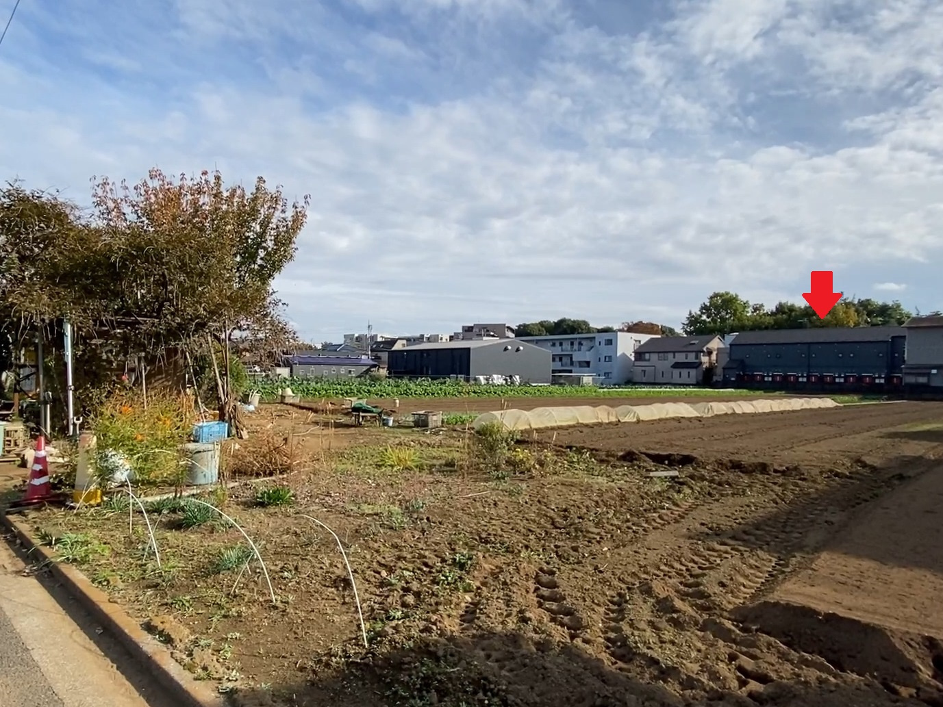 芸術的な共用部分