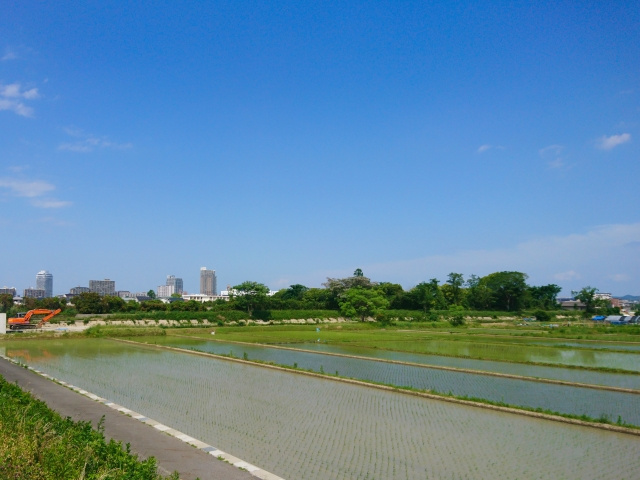 草津市にある「道の駅グリーンプラザからすま」の特徴についてご...の画像