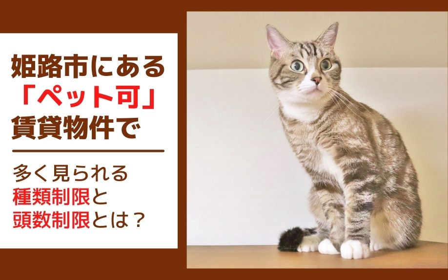 姫路市にある「ペット可」賃貸物件で多く見られる種類制限と頭数...の画像