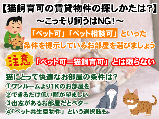 引越しに伴う飼い犬のストレス緩和方法は まずは4つの方法を試してみよう 賃貸のマサキ