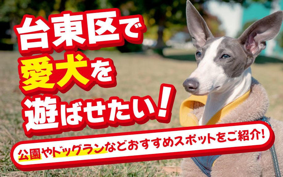 台東区で愛犬を遊ばせたい！公園やドッグランなどおすすめスポッ...の画像