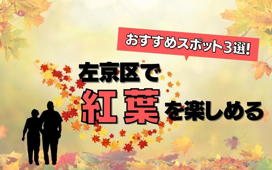 左京区で紅葉を楽しめるおすすめスポット3選！の画像