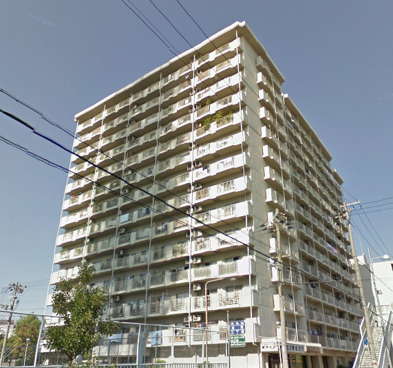 本日の新着情報！！の画像