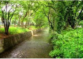 拝島駅の北側　玉川上水の緑豊かな住環境の画像