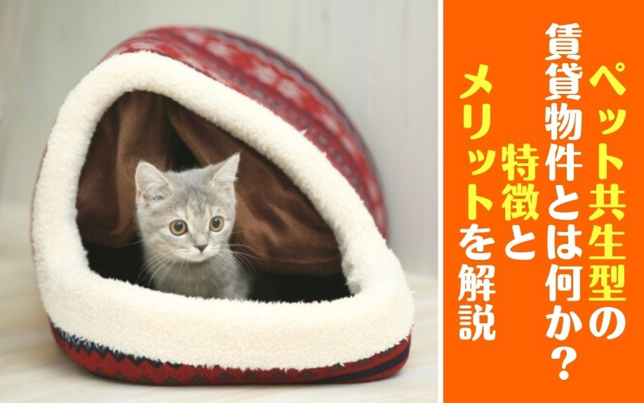 ペット共生型の賃貸物件とは何か？特徴とメリットを解説の画像