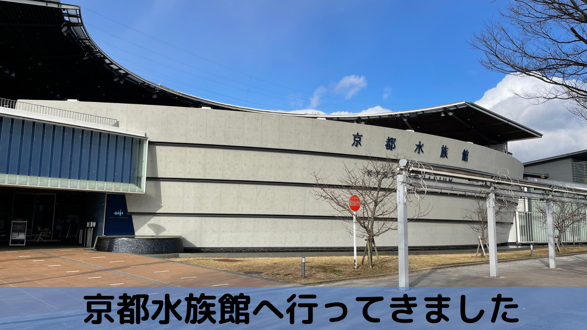 京都水族館に行ってきましたの画像