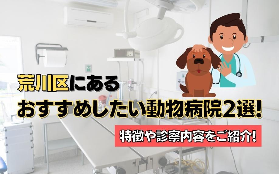 荒川区にあるおすすめしたい動物病院2選！特徴や診察内容をご紹...の画像