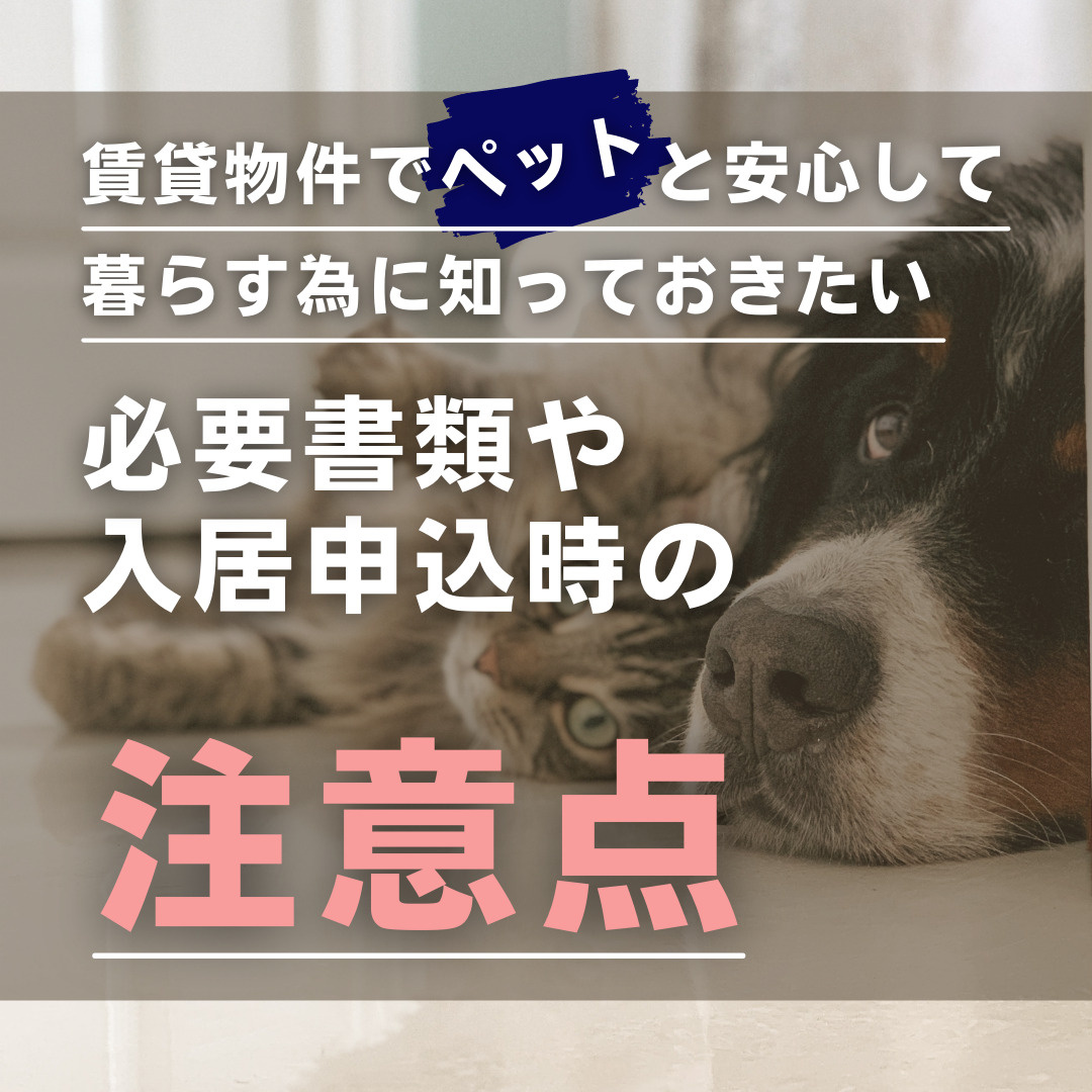 賃貸物件でペットと安心して暮らす為に知っておきたい必要書類や入居申込時の注意点