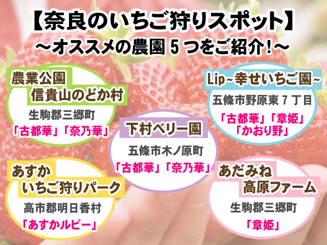 奈良のいちご狩りスポットオススメの農園5つをご紹介！の画像