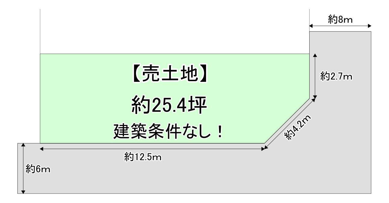 本日の新着情報！！の画像