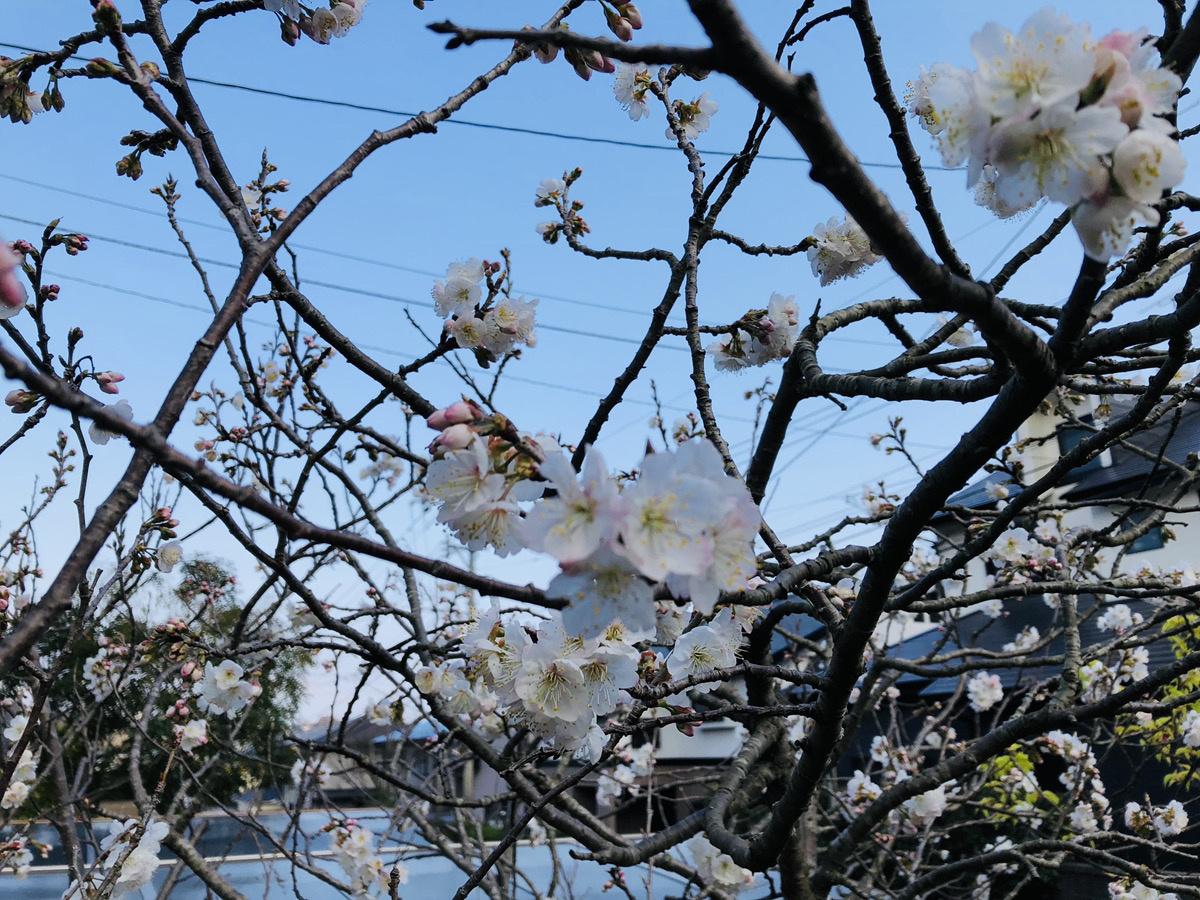 ＊本日もオープンハウス開催中！＊の画像