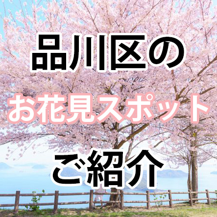 品川区のお花見スポット紹介の画像