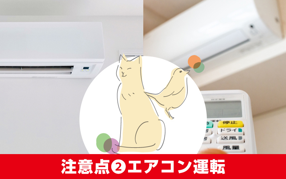 賃貸物件でペットを飼う際の注意点：エアコン運転