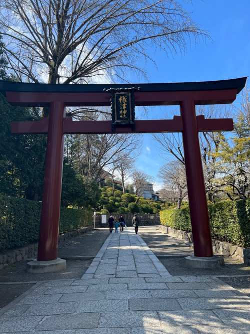 今年もハッピーな予感。の画像