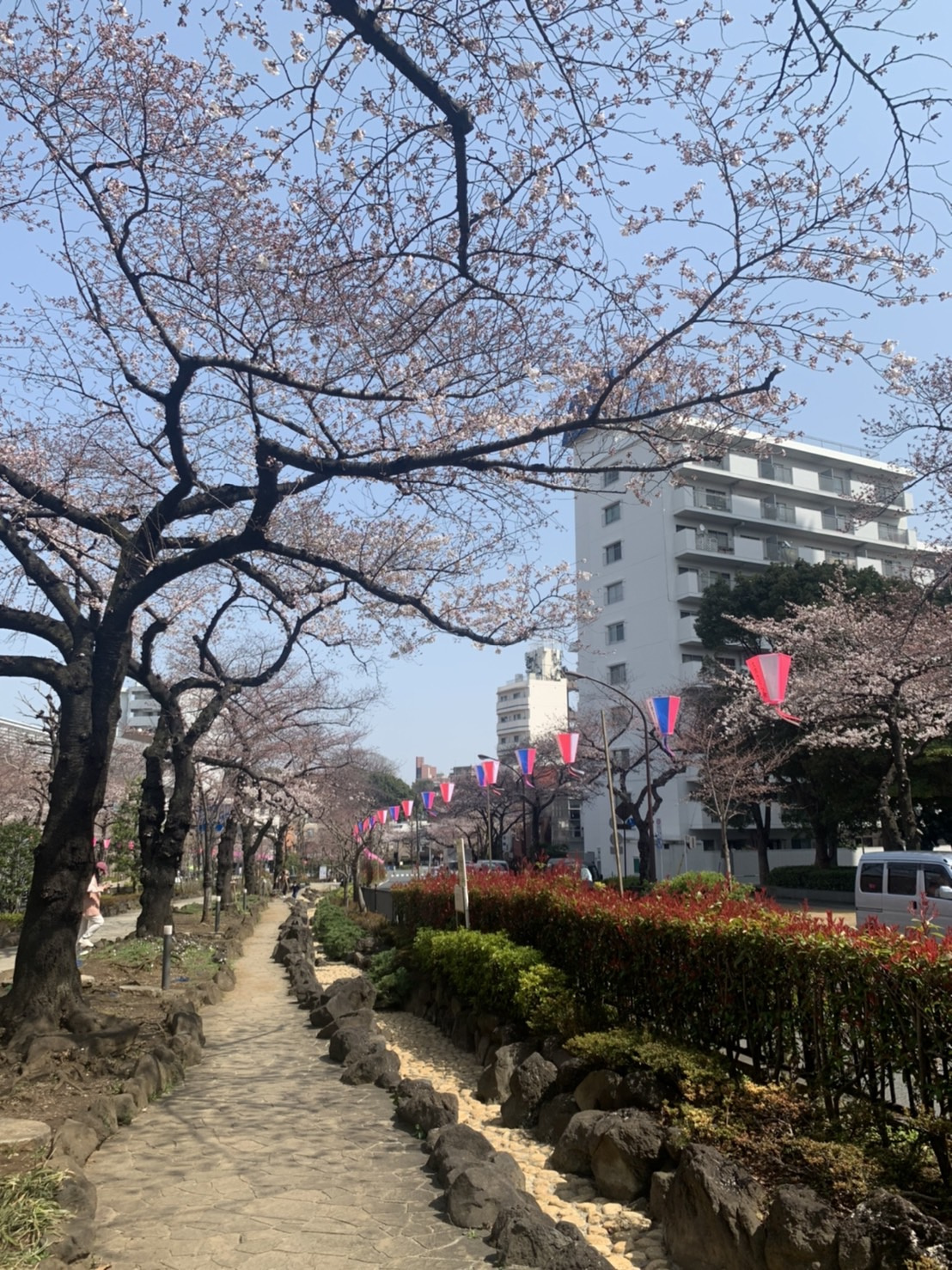 ✿あともう少しの画像