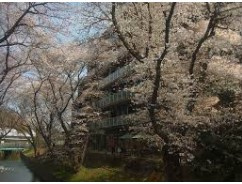少し春らしいポカポカ陽気で・・の画像
