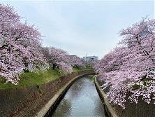 ブログ記事トップ画像
