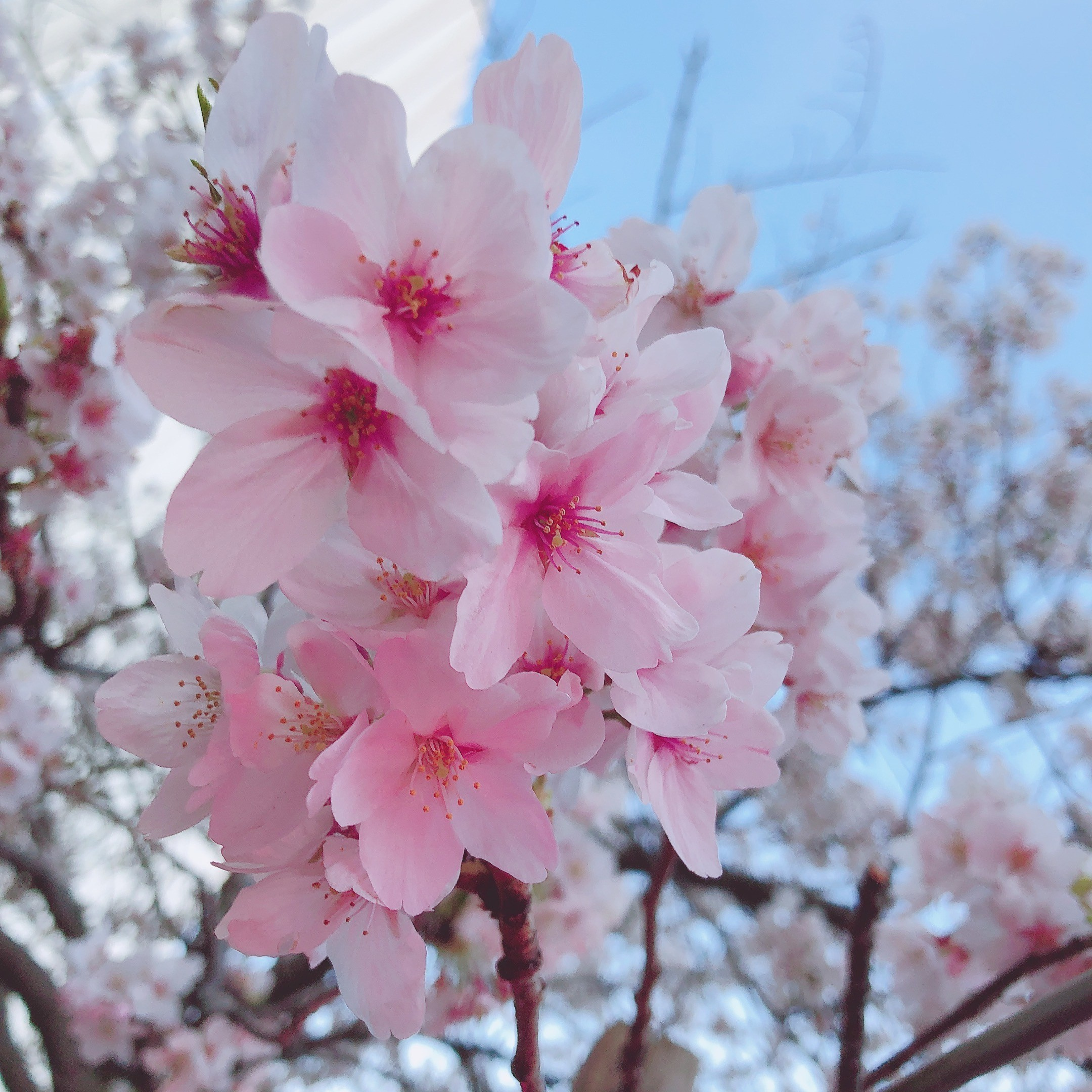 初めまして！の画像