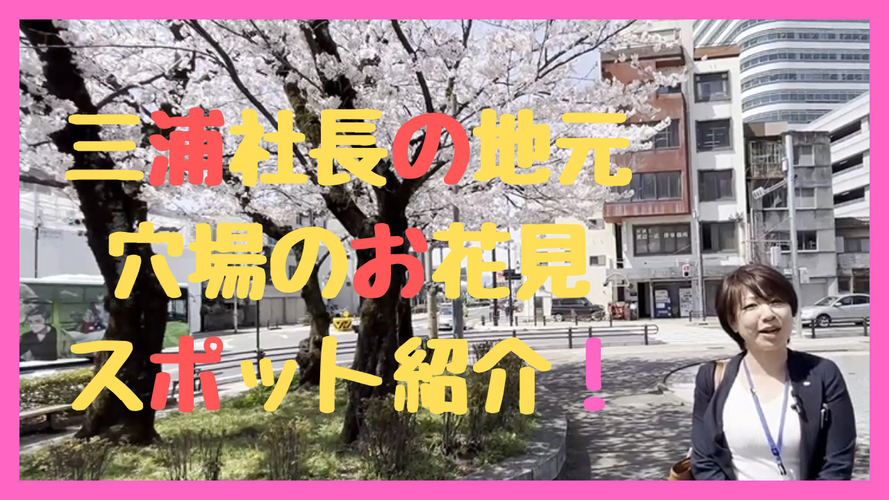 【ハウスアイビーチャンネル】岐阜のお花見穴場・プチ情報！の画像