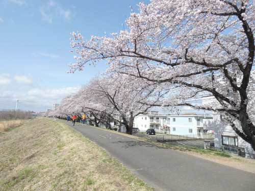 久々の晴れ間の画像