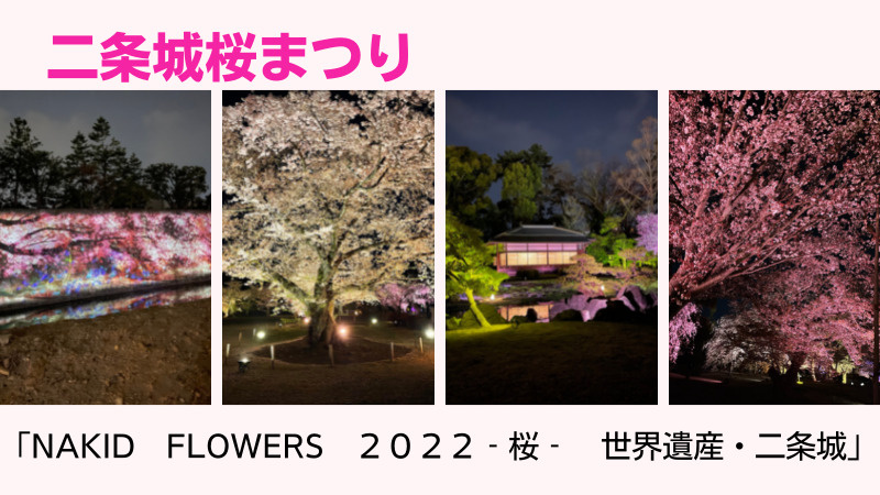 京都二条城桜まつり　NAKID　FLOWERS2022‐桜‐...の画像