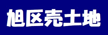 本日の新着情報‼の画像