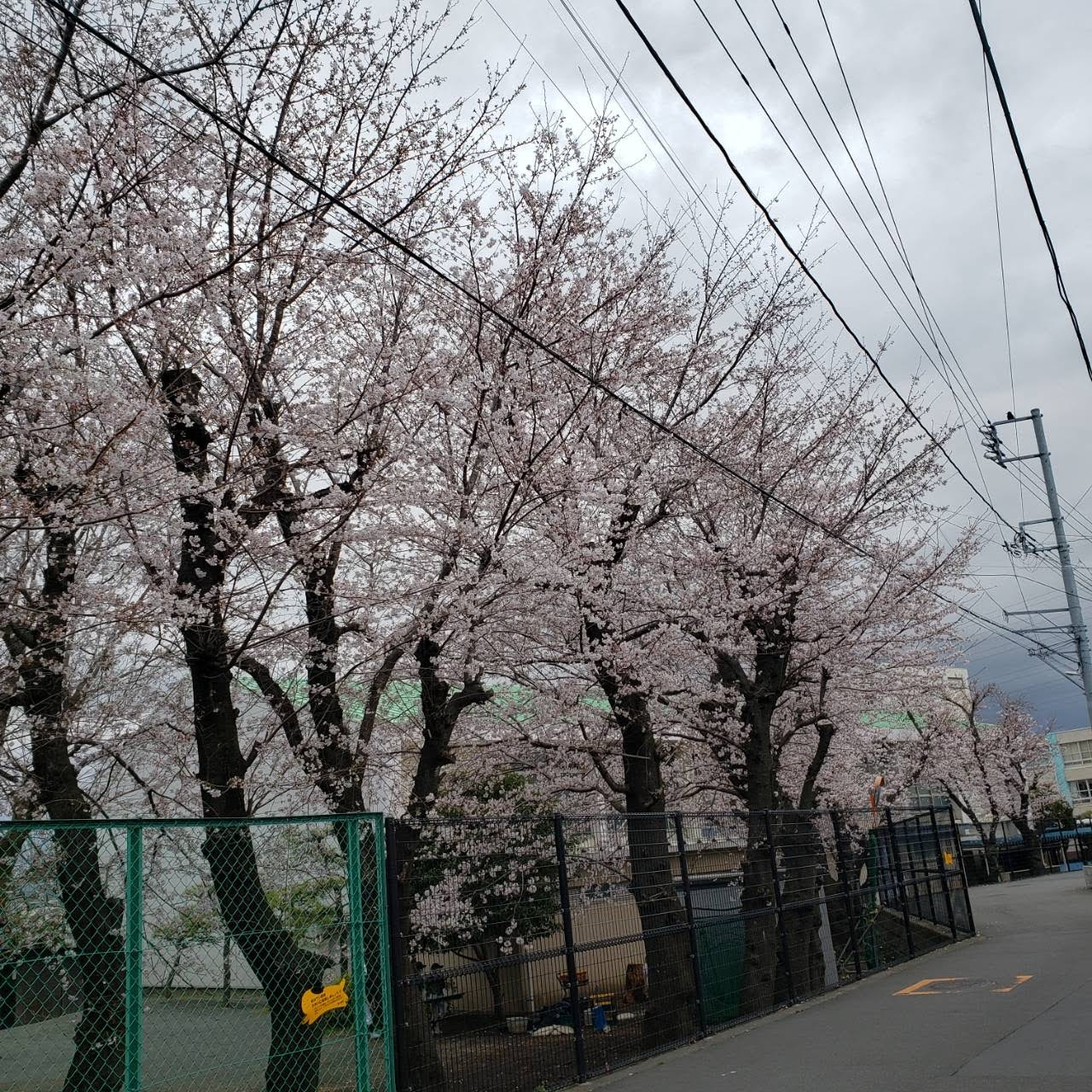 ☆新学期☆の画像