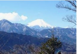 今日は初夏の陽気でしょうか？暑いですね～の画像