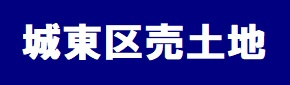 本日の新着情報‼の画像