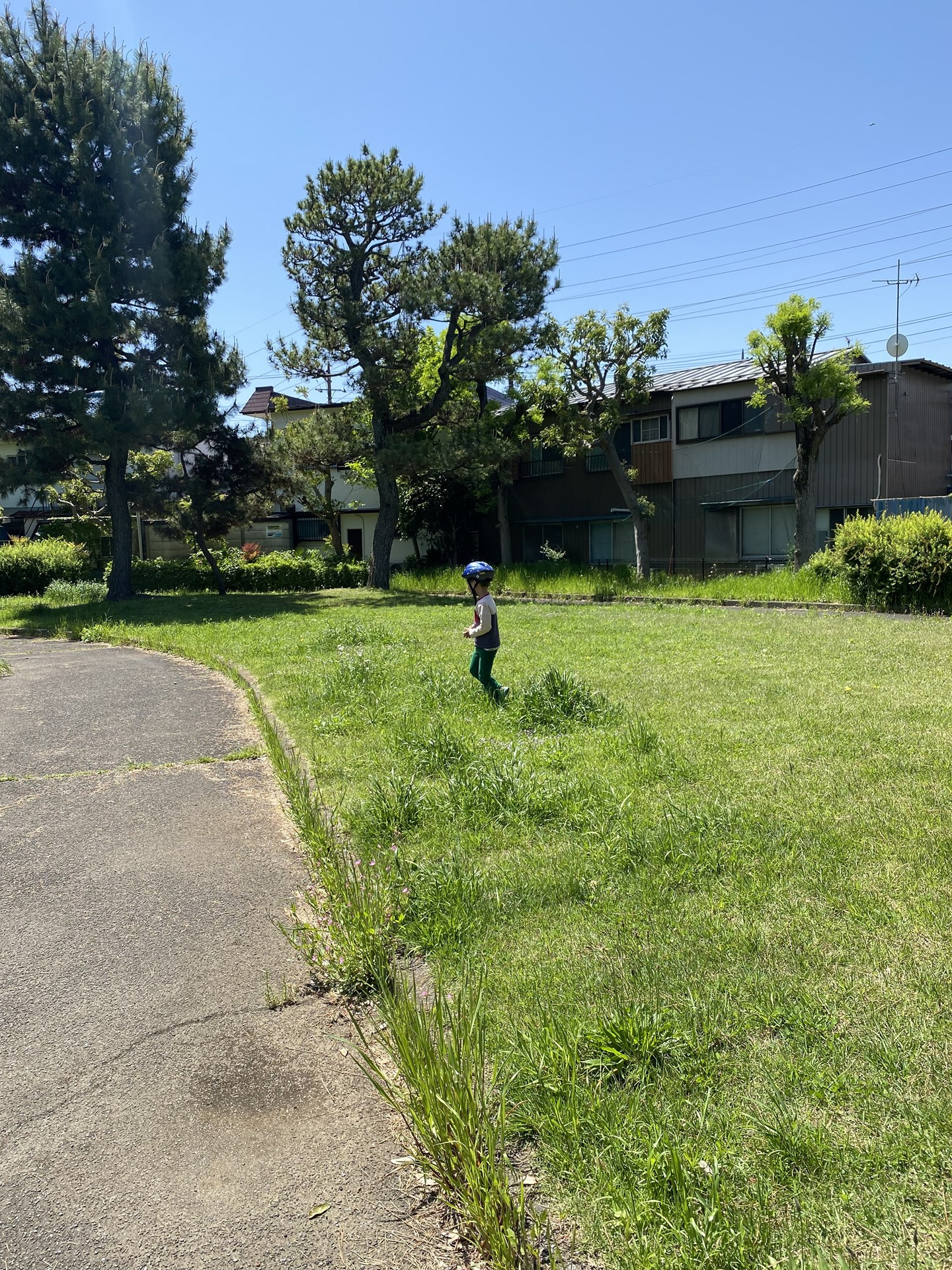 ノスタルジックな思いに。「中野町公園」　の画像