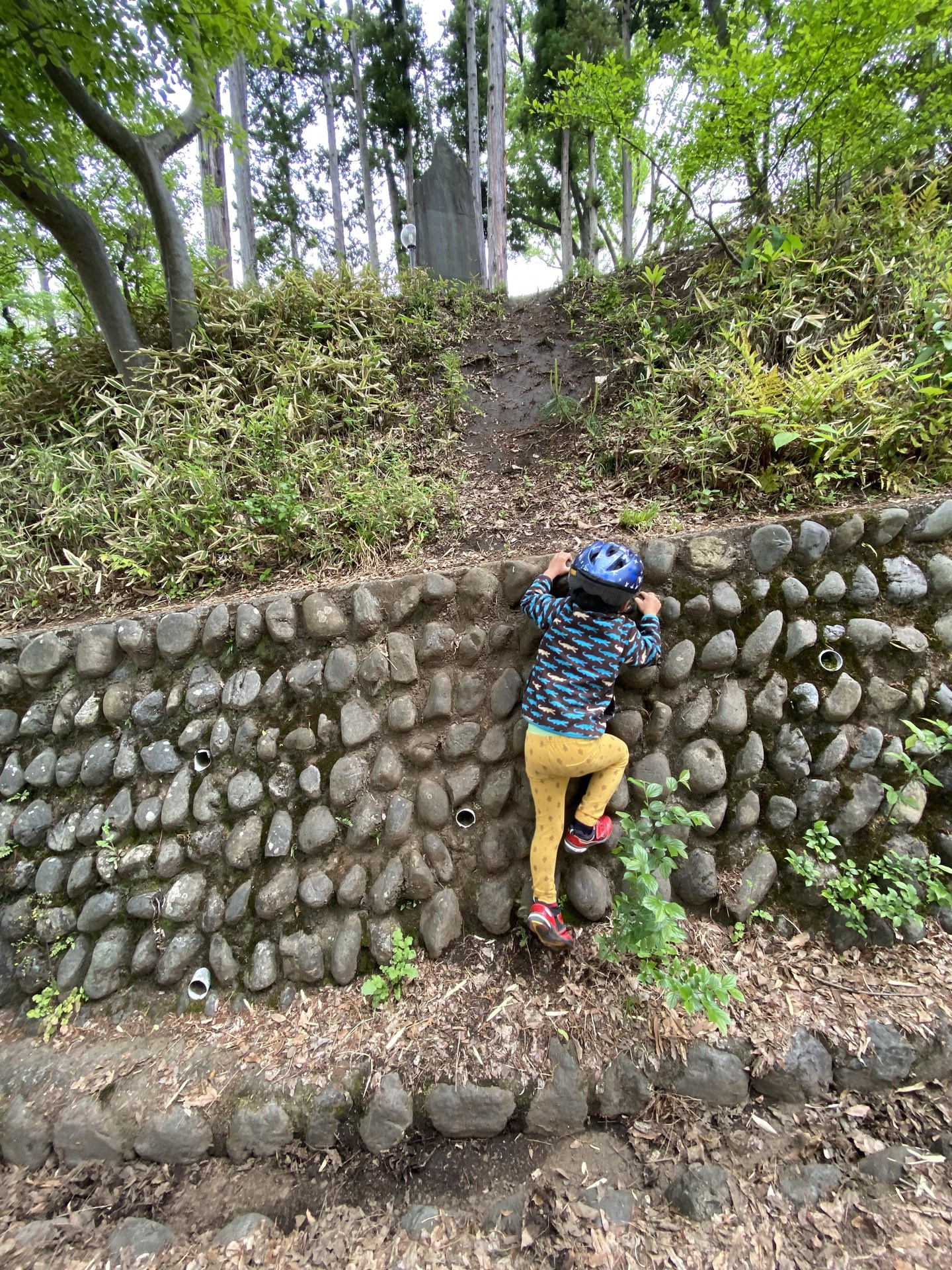 冒険は楽しい「富士森公園」の画像